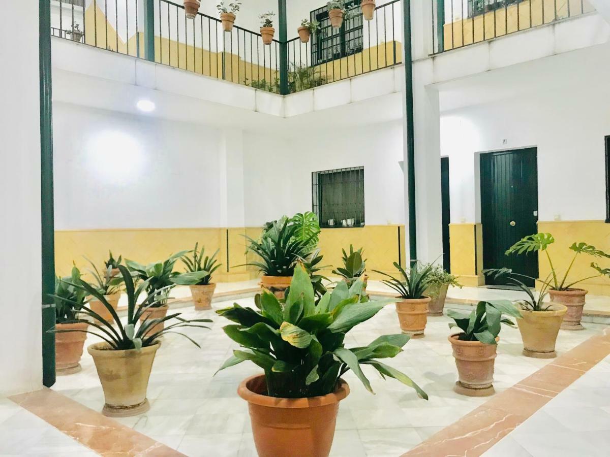 Los Patios De La Juderia Seville Exterior photo