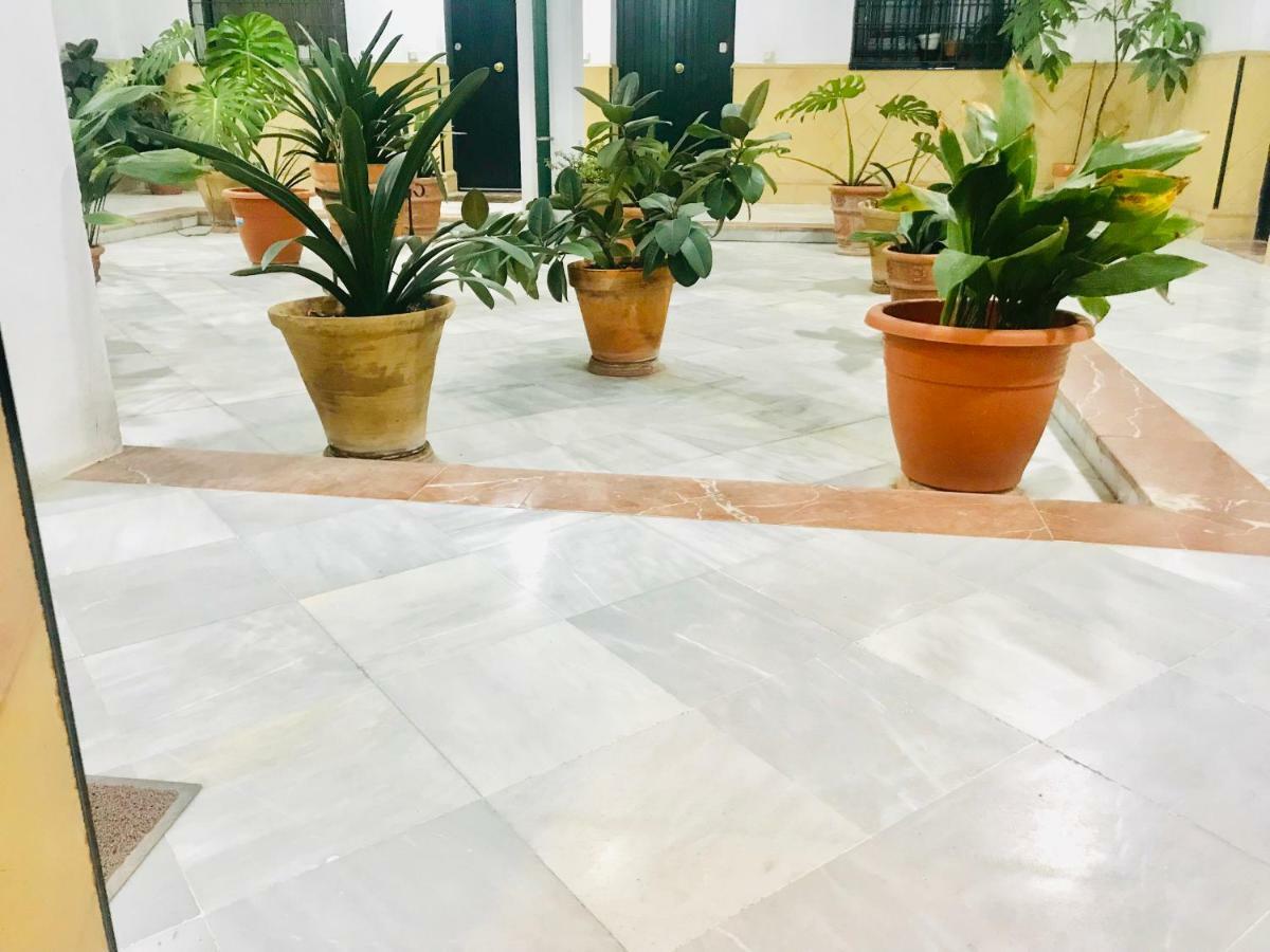 Los Patios De La Juderia Seville Exterior photo
